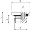 Tappo Maschio Cilindrico Esagono Incassato Con O-Ring - immagine 2